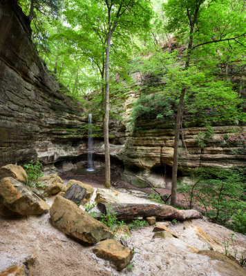 Spring Growth at St Louis Canyon