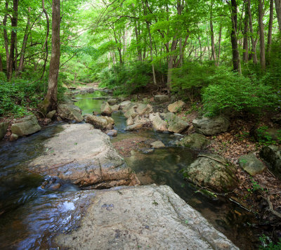 Stream Over Bedrock 