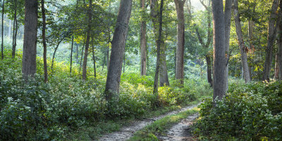 Trail from Stone Barn