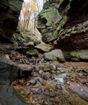 Head of Parfrey's Glen