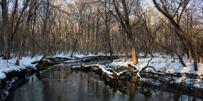 Floodplain Oxbow 