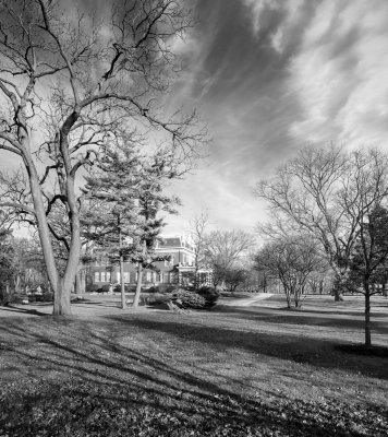 Trees of Ellwood 