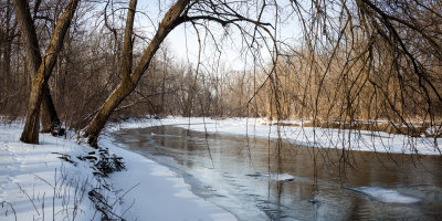 South Branch Low Branch 