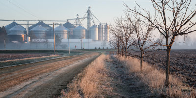 Ground Fog at Maplewood Road