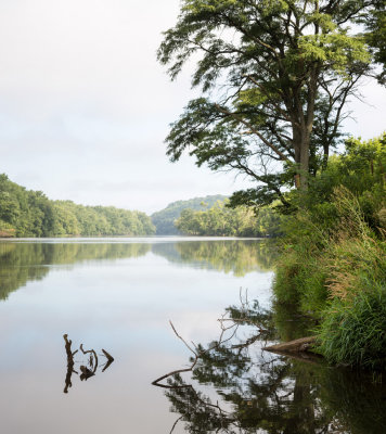 Rock River Summer Morning 