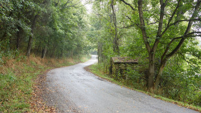 Rural Indiana Road 