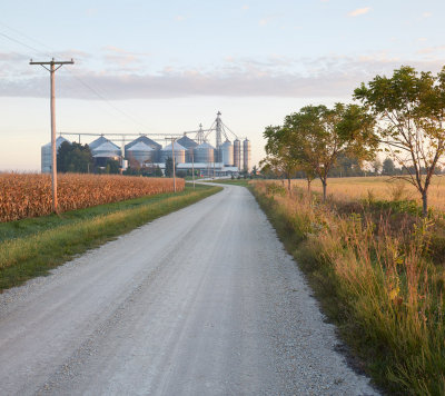 Maplewood Road at Sunrise, September