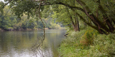 Kish South of Rockford 