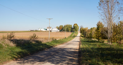 Shadows Along Council Road 