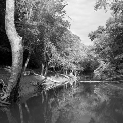 Muscatatuck River 