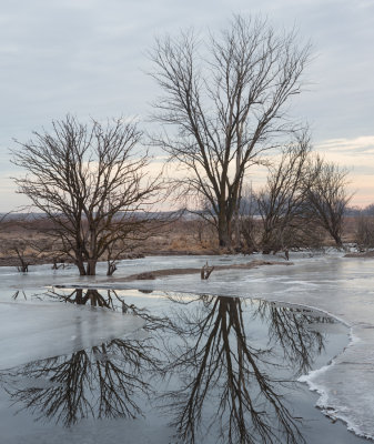 Lower Wetlands Dawn