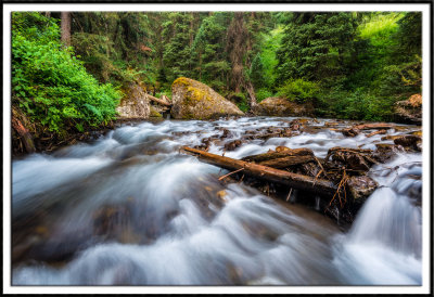 East Fork of Dallas Creek