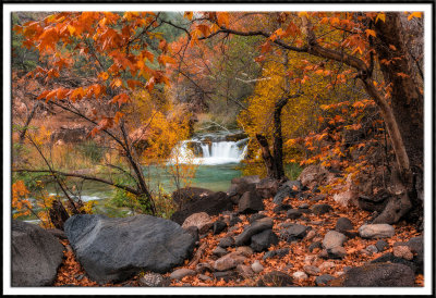 Autumn Foliage and Fossil Creek
