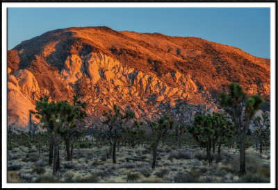 Last Light on Mt. Ryan