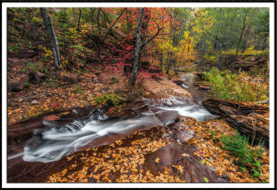 Horton Creek's Fall Colors