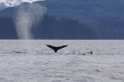 Icy Strait Point