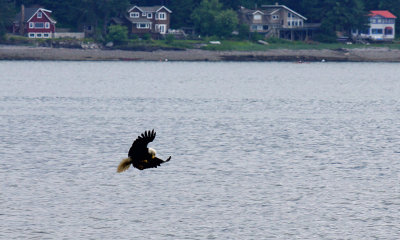 Juneau