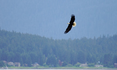 Juneau