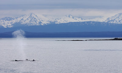 Juneau