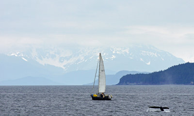 Juneau
