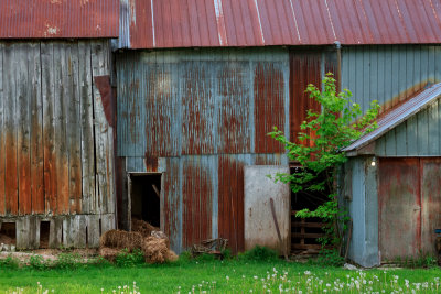 hit the side of a barn