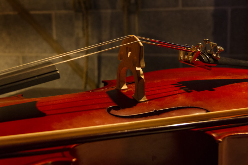 Violin