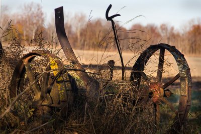 Old farm implement.jpg