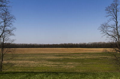 View from back of Conner House.jpg