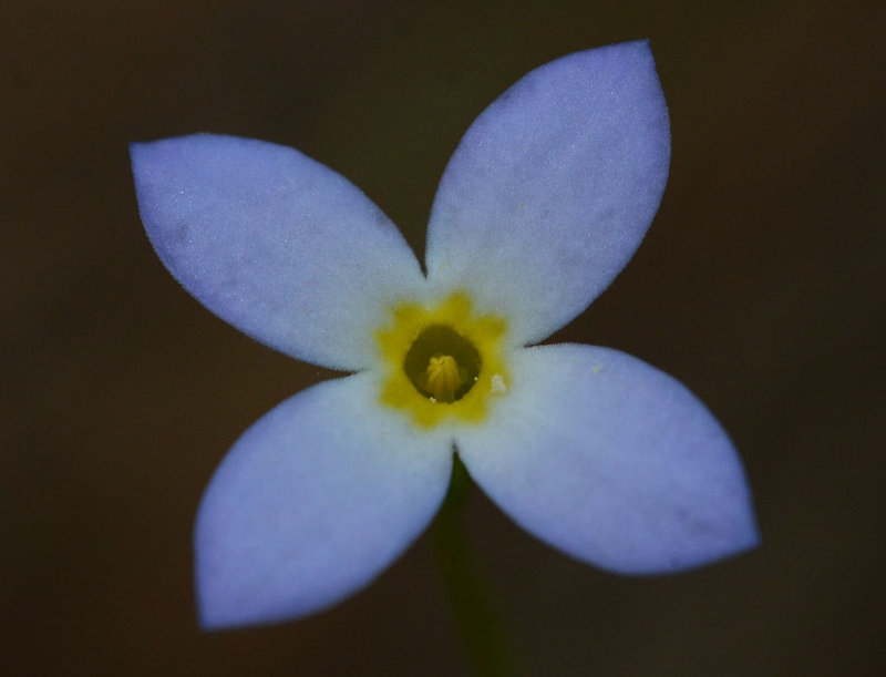 DSC_25142ps PF.jpg
