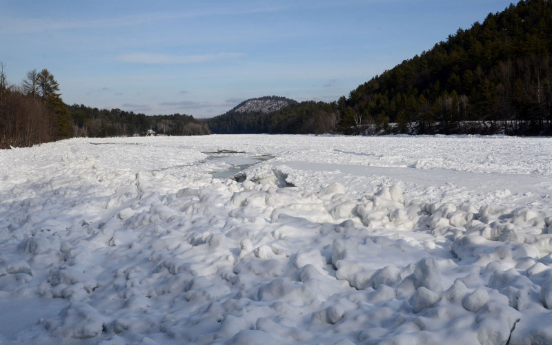 DSC_32207ps PF.jpg