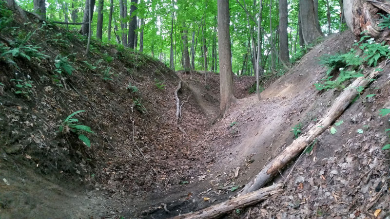 20140910_073102ps PF.jpg