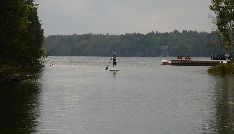DSC_38813ps PF.jpg