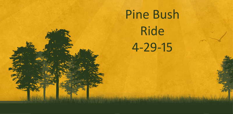 pine bush 4-29-15.jpg