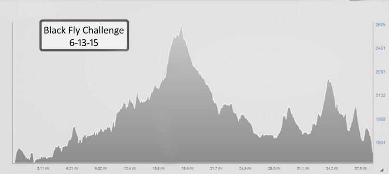 elevation PF.jpg