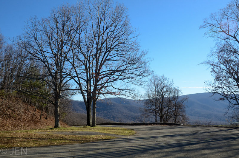 DSC_8762LR PF.jpg