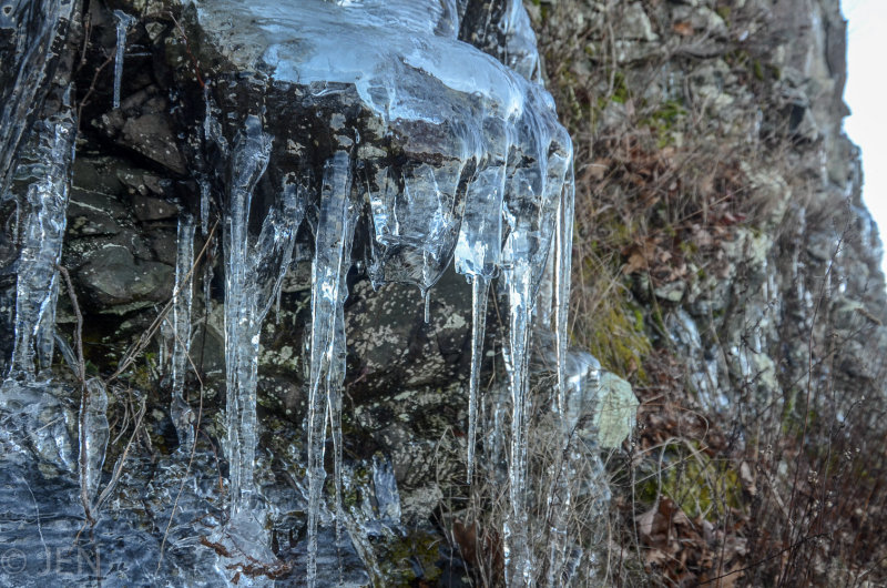 DSC_8776LR PF.jpg