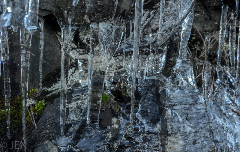 DSC_8777LR PF.jpg