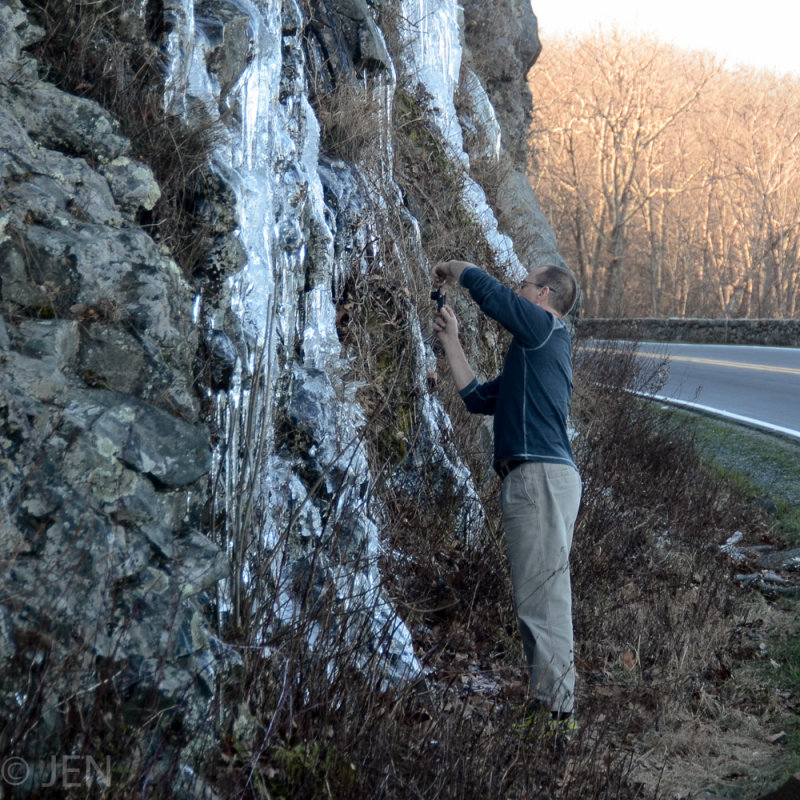 DSC_8770LR PF.jpg
