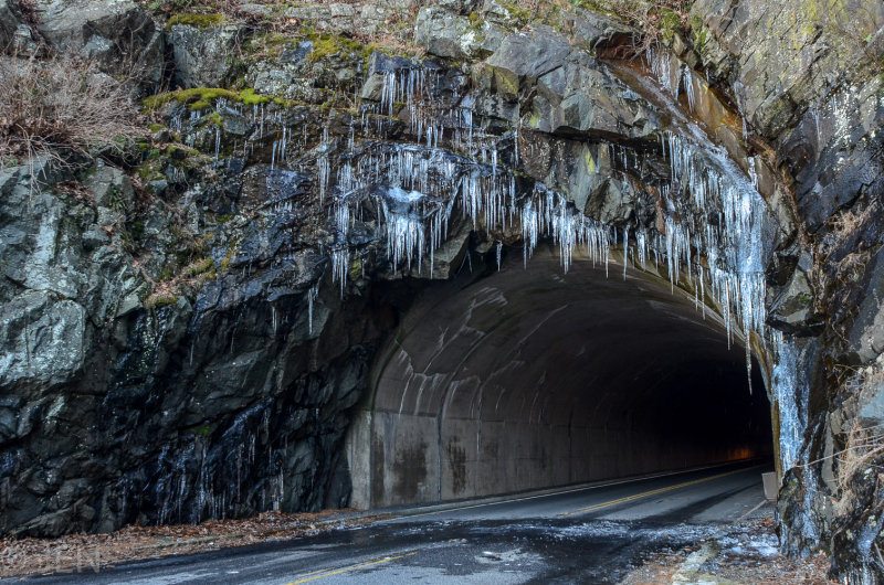 DSC_8803LR PF.jpg