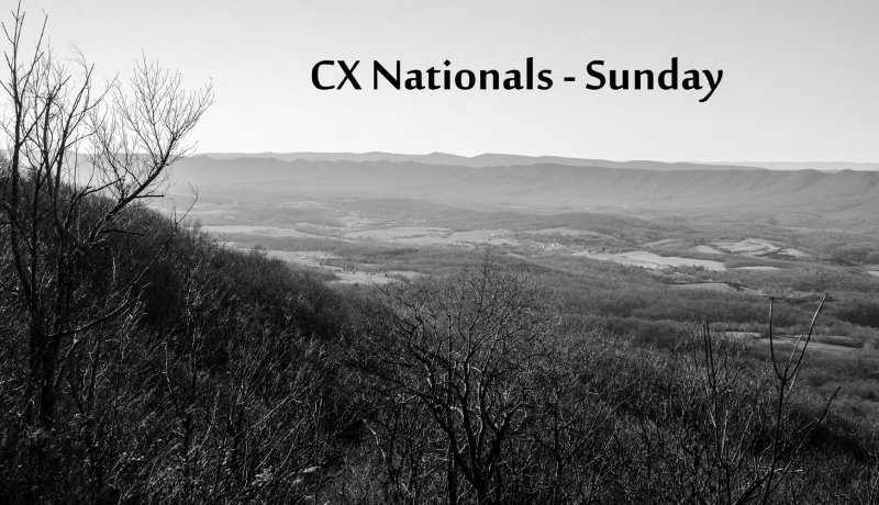 DSC_8748LR Sunday.jpg