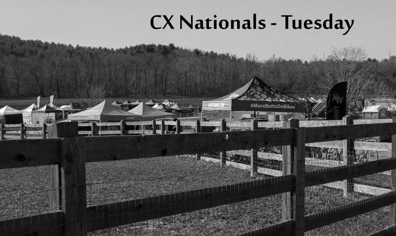 P1010590LR Tuesday.jpg