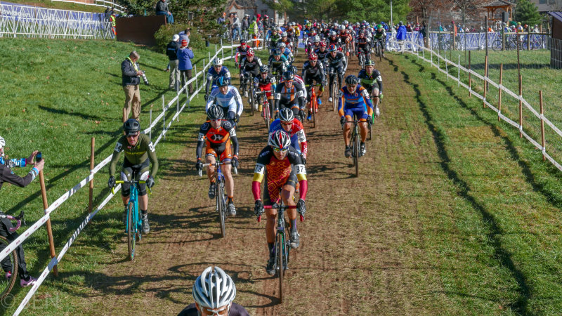 P1010709LR PF.jpg