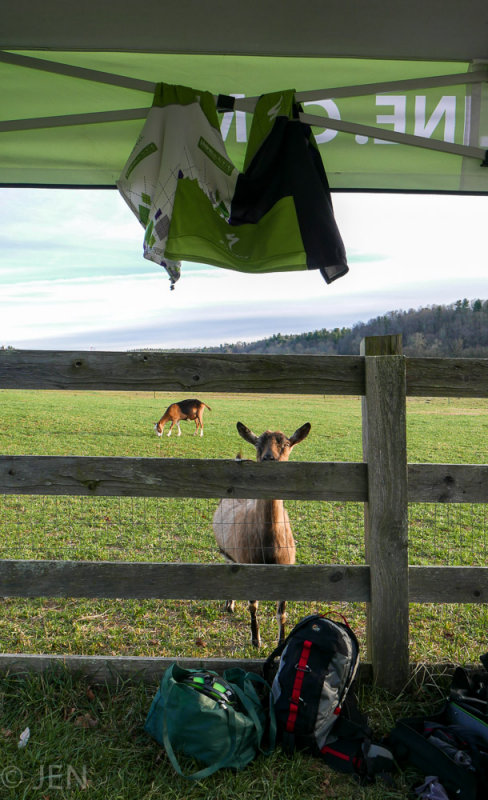 P1020480LR PF.jpg