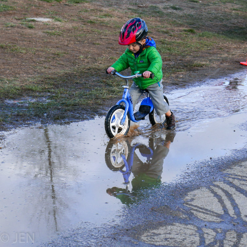 P1020821LR PF.jpg