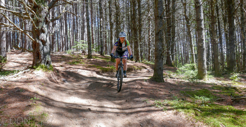 P1060500LR PFps.jpg