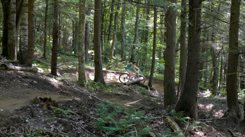 P1060533LR PF.jpg