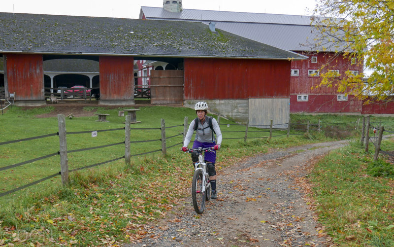 P1100745LR PF.jpg