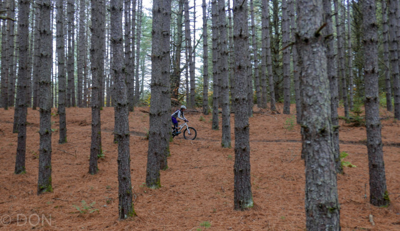 P1100754LR PF.jpg