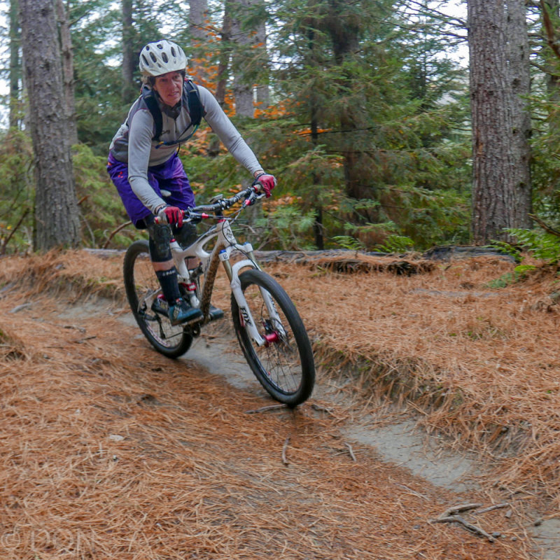 P1100757LR PF-2.jpg