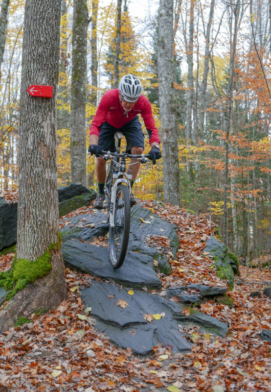 P1100791LR PF.jpg